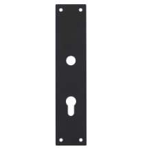 Afbeeldingen van INTERSTEEL Schild renovatie rechthoekig 250x55x2mm RVS mat zwart 2688