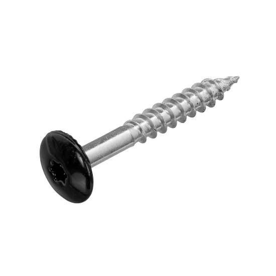 Afbeeldingen van DAK&GEVEL kleurkopschroef - Ø4.8x38mm T20 - RVS-A2 zwart