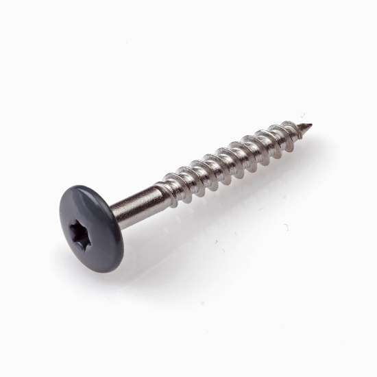 Afbeeldingen van DAK&GEVEL kleurkopschroef - Ø4.8x38mm T20 - RVS-A2 antraciet