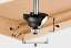 Afbeeldingen van Festool Dubbele radialenfrees HW HW S8 D31,7/R4/R4