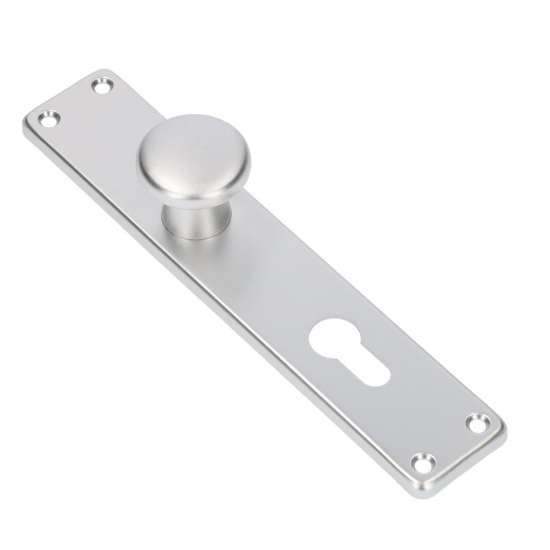 Afbeeldingen van Ami Langschild 212/41 knop 160/50 - PC72 - F1 