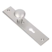 Afbeeldingen van Ami veiligheids Langschild 251/50/8 knop 169/50 - PC72 - F1 