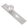 Afbeeldingen van Ami veiligheids Langschild 251/50/8 knop 169/50 - PC72 - F1 