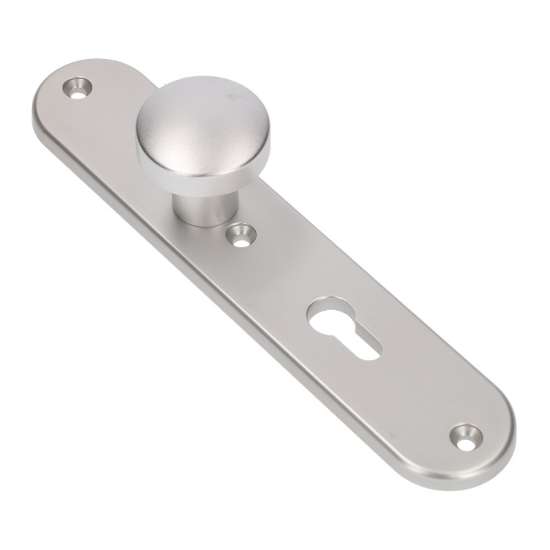 Afbeeldingen van Ami veiligheids langschildgarnituur 250/50/8/1 knop 169/50 - PC72 - F1 