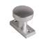Afbeeldingen van Ami Smalrozet 65/30 Knop 169/50 vast op rozet R6,5 HOH 43 - F1 