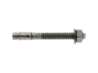 Afbeeldingen van Spit segmentanker Fix Z - M10x70 - inox A4