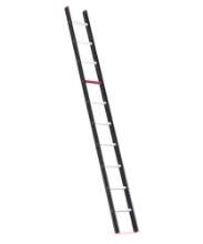 Afbeeldingen van Altrex enkele rechte ladder Nevada NZER 1030 - 10 sporten 