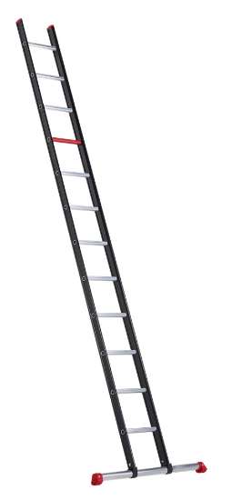 Afbeeldingen van Altrex enkele rechte ladder Nevada NZER 1036 - 12 sporten 