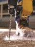 Afbeeldingen van DeWALT Betonboor SDS plus DT9514