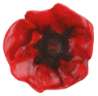 Afbeeldingen van Siro Meubelknop bloem kunststof - L 48mm/H 32mm/B 45mm rood 