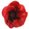 Afbeeldingen van Siro Meubelknop bloem kunststof - L 48mm/H 32mm/B 45mm rood 