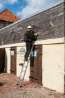 Afbeeldingen van Little Jumbo Enkele Ladder 10 sporten