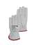 Afbeeldingen van PSP 32-209 handschoen nappaleder driver mt.08