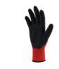 Afbeeldingen van PSP 10-110 handschoen latex lite mt.08