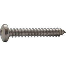 Afbeeldingen van Plaatschroef Rvs    2.9X16  Ck D7981Ch A