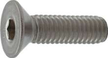 Afbeeldingen van Inbusmet.Schr.Rvs   M10X80mm   Din7991 A