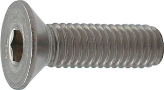 Afbeeldingen van Inbusmet.Schr.Rvs   M10X80mm   Din7991 A