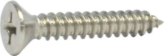 Afbeeldingen van Plaatschr.kruisk.rvs4.2x32    din 7982/a2